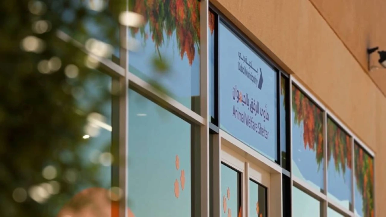 بلدية دبي تعلن عن افتتاح مأوى جديد للحيوانات الأليفة في ورسان